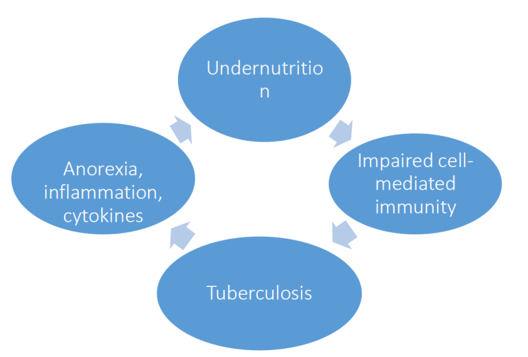 ijerph-free-full-text-malnutrition-and-gastrointestinal-and